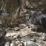 FITS_224 (May 04, 2019)